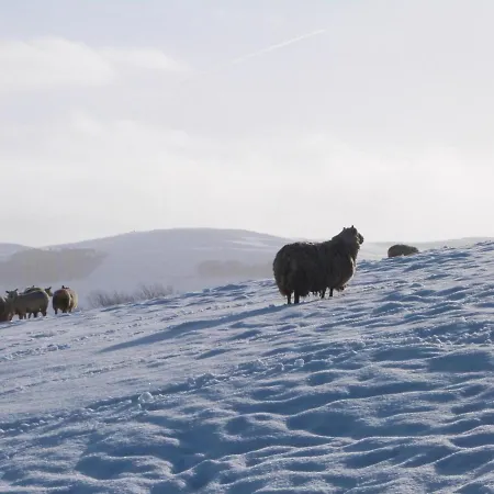 Σπίτι διακοπών The Folly Skipton